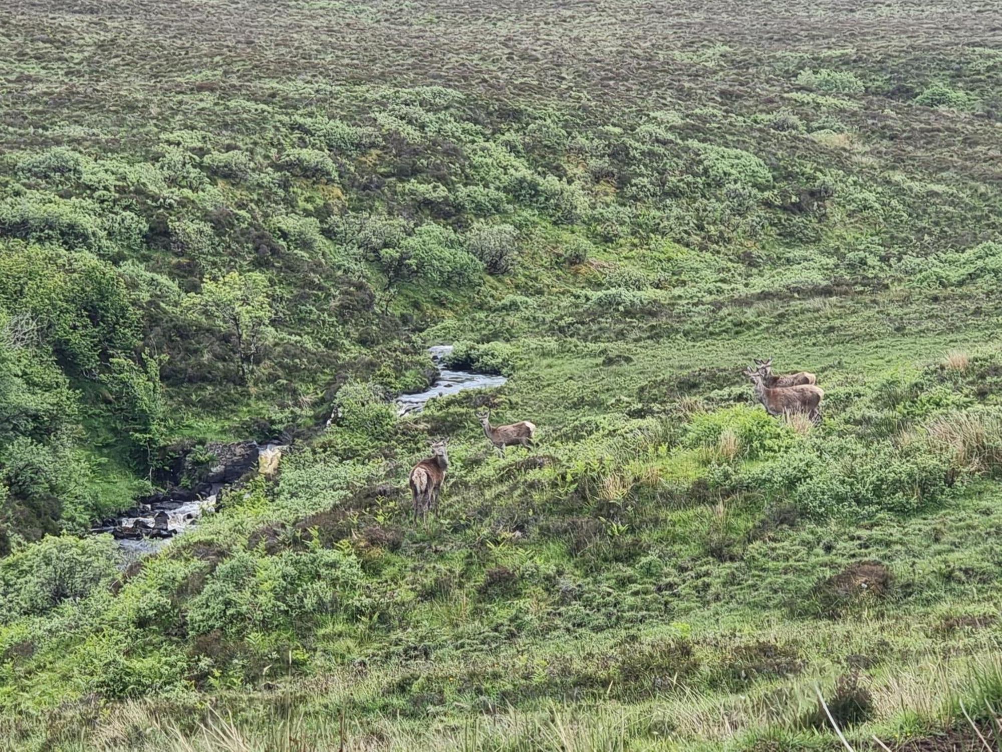 Ferienwohnung An Cois Na H-Aibhne Skeabost Exterior foto